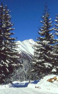Wintermärchen