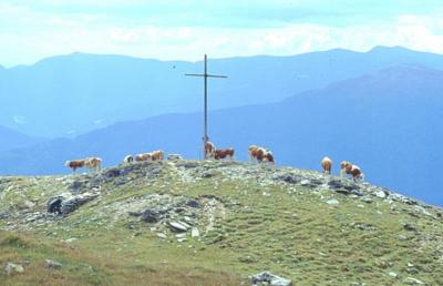 Tockneralm